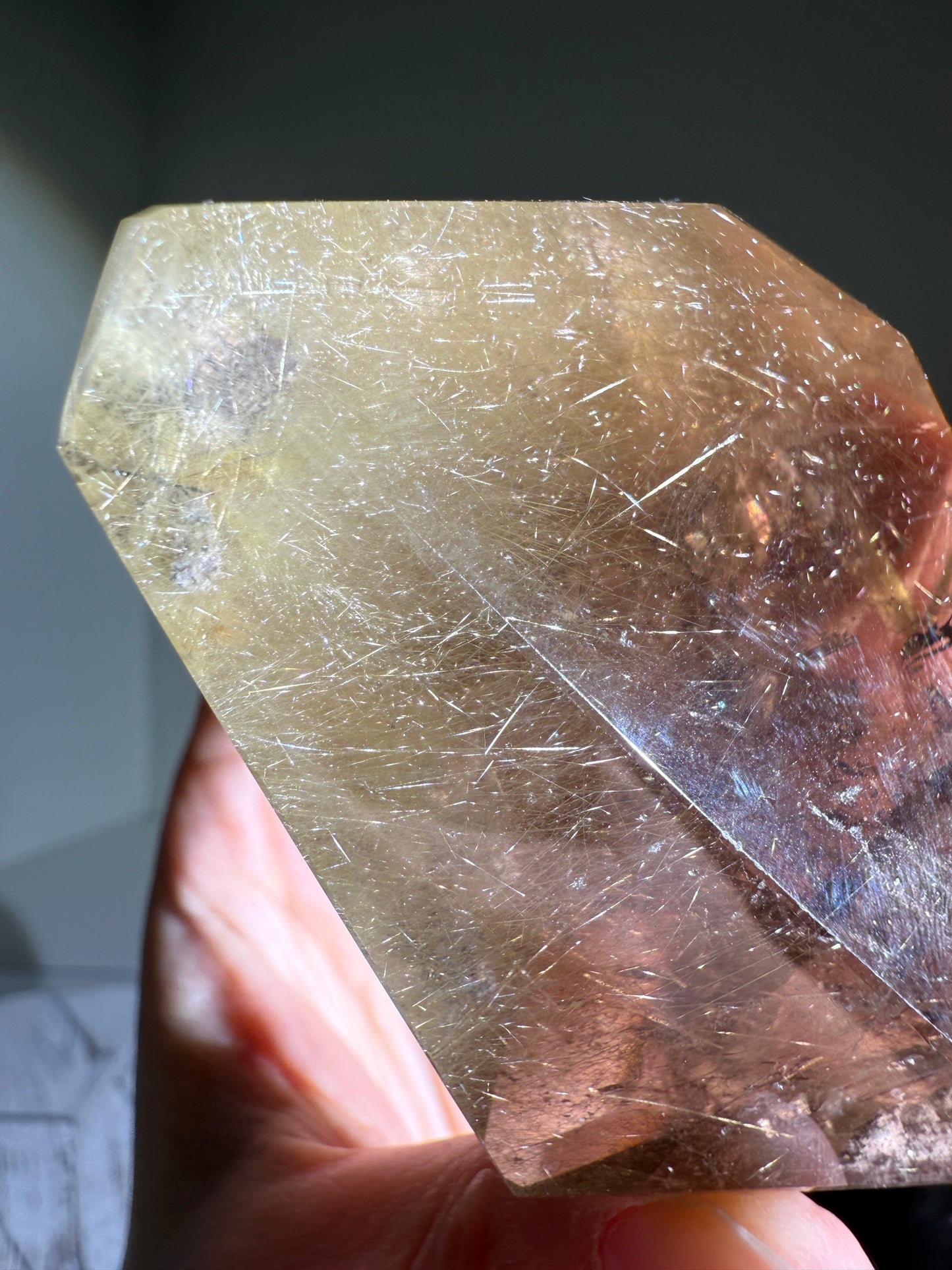 High Quality Collector's Grade Bright Golden Rutile in Smoky Quartz Freeform With Penetrator, Brazil