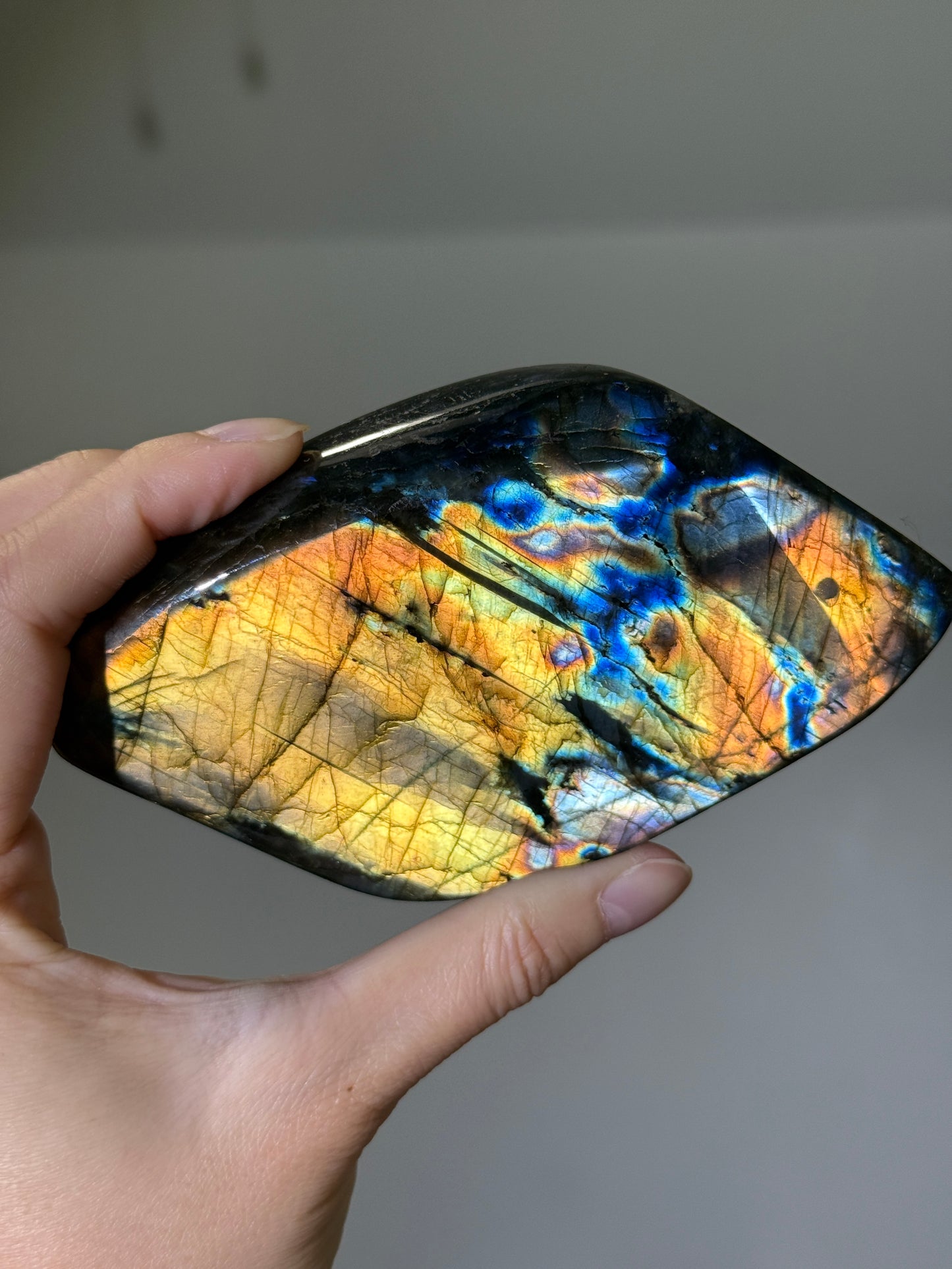 High Quality Large Full Flash Rainbow Labradorite Freeform, Madagascar