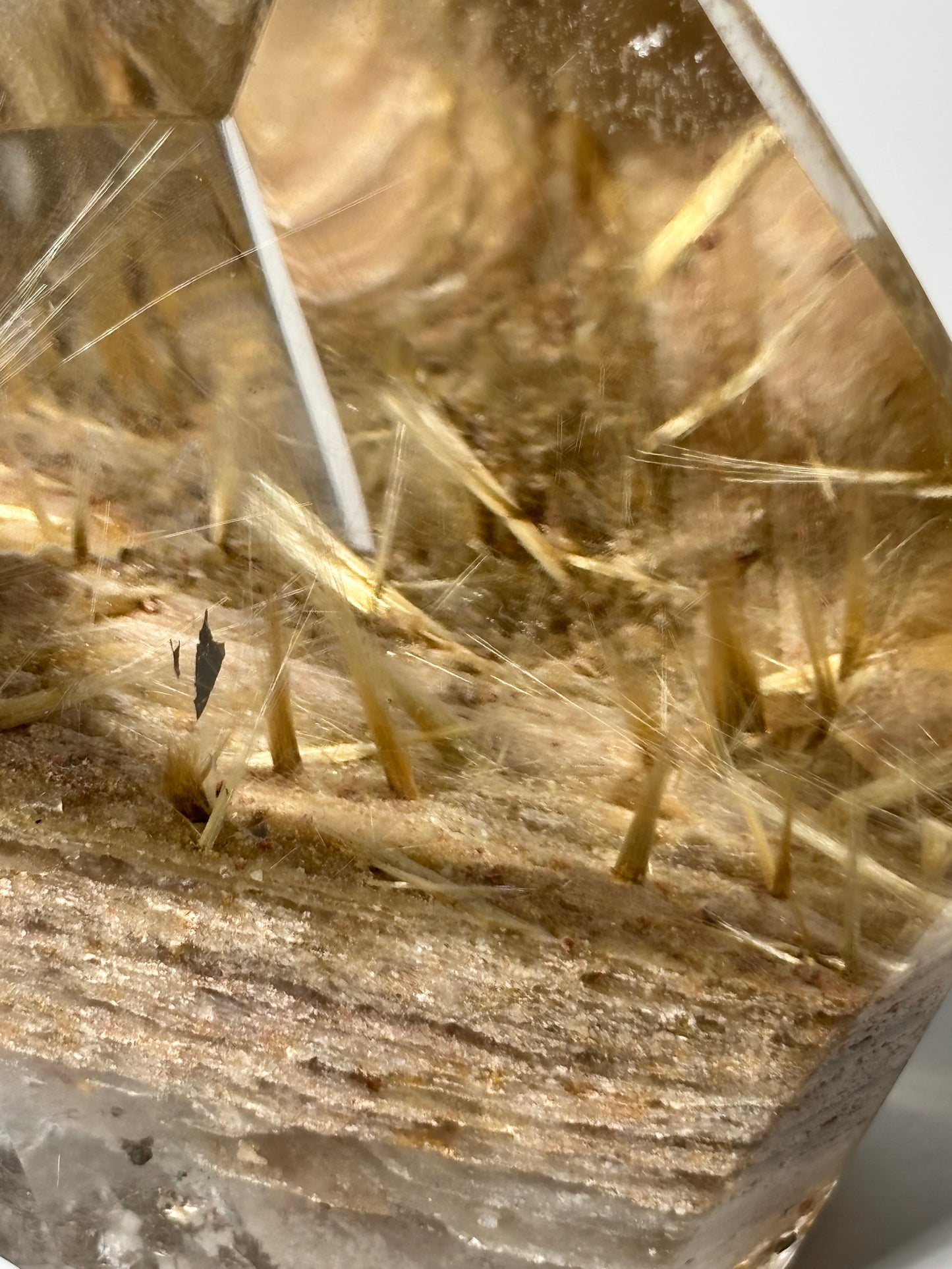 Statement Golden Starburst Rutile on Layered Lodalite Freeform