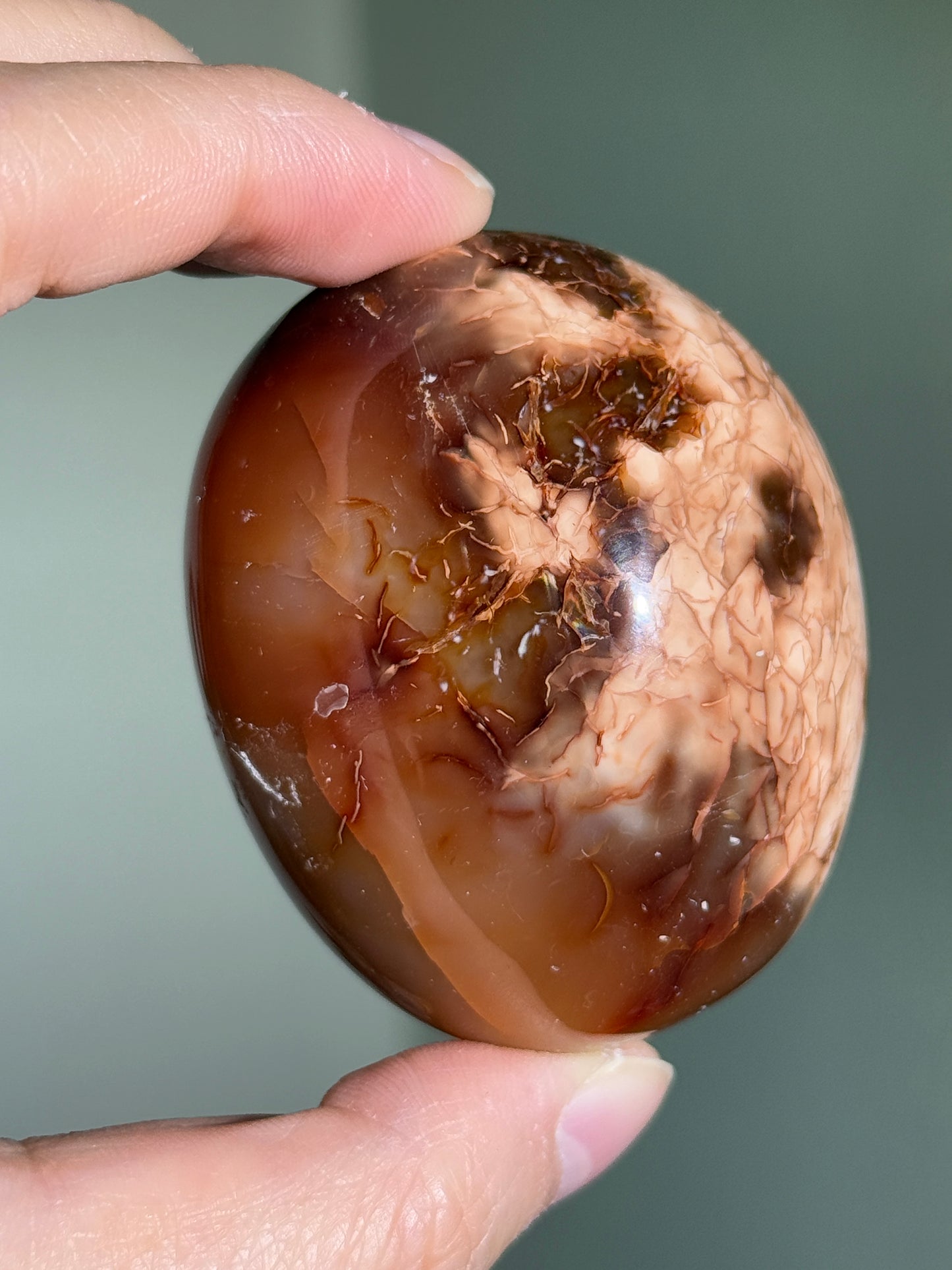 Large Puffy Carnelian x Orca Agate Palm Stone, Madagascar