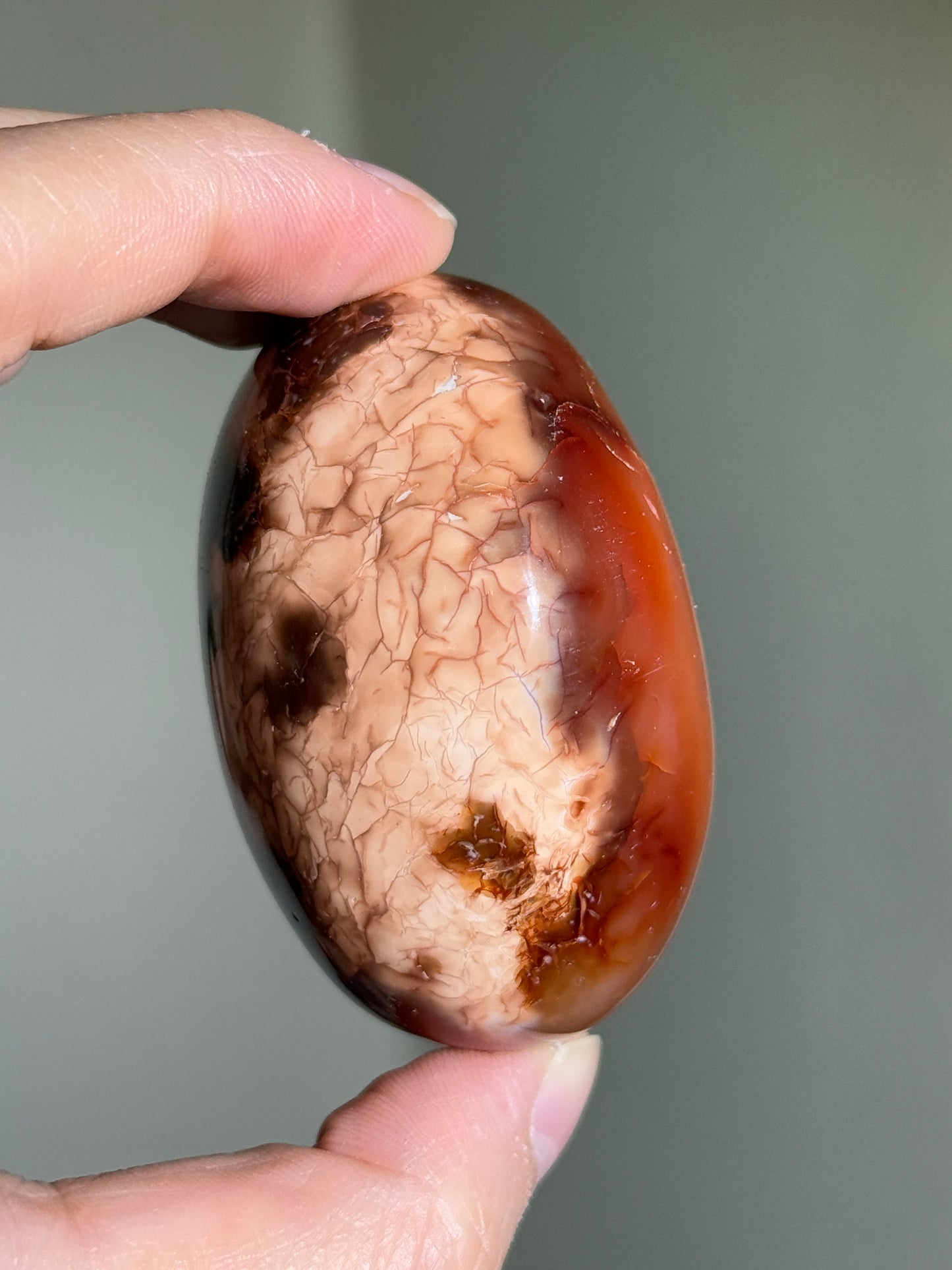 Large Puffy Carnelian x Orca Agate Palm Stone, Madagascar