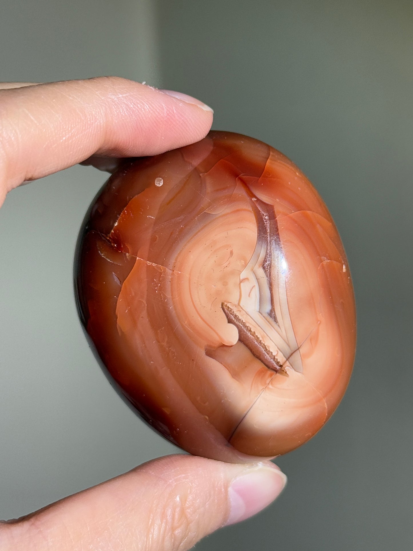 Large Puffy Carnelian x Orca Agate Palm Stone, Madagascar
