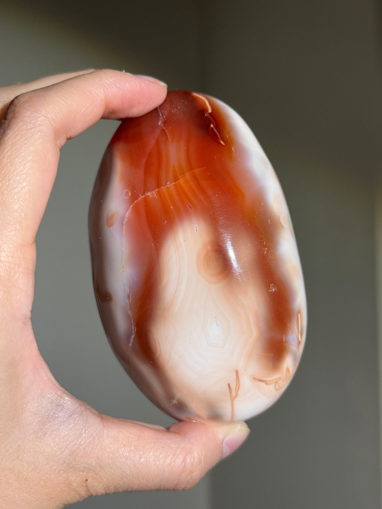 Huge Druzy Carnelian x Orca Agate Palm Stone, Madagascar