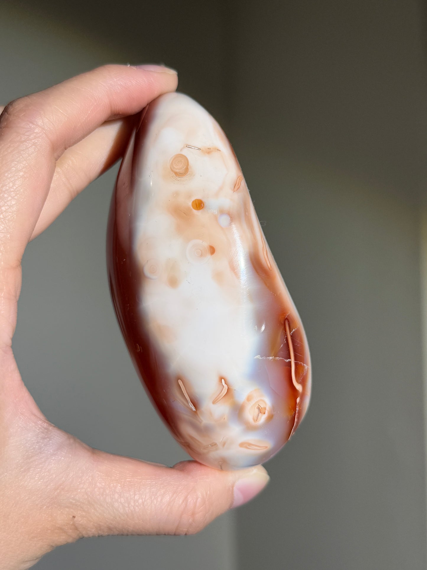 Huge Druzy Carnelian x Orca Agate Palm Stone, Madagascar