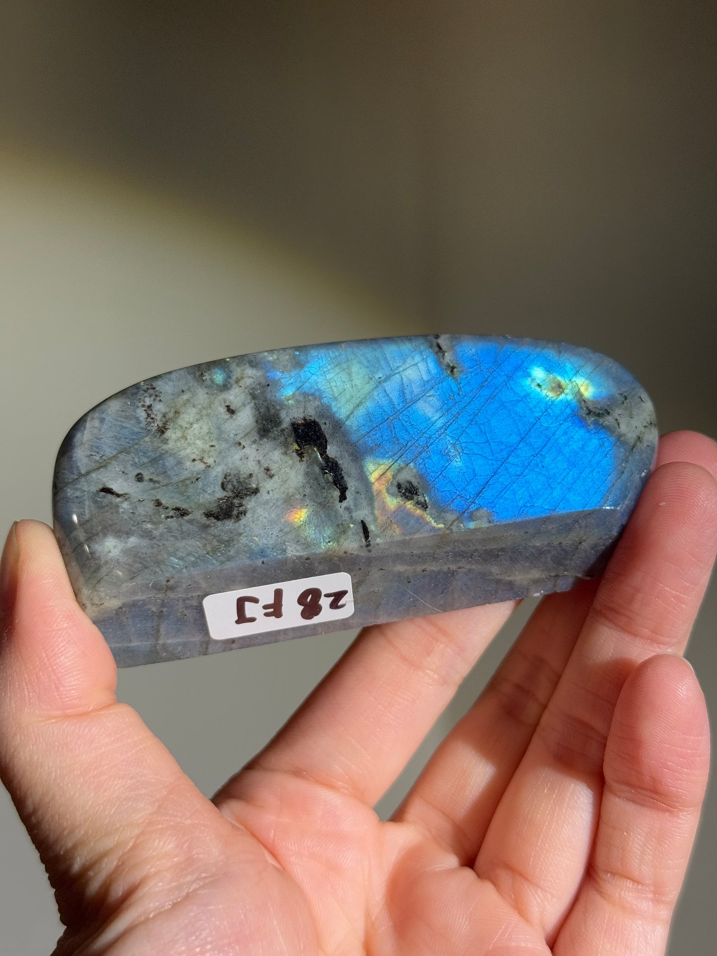 Full Blue & Teal Labradorite Freeform, Madagascar
