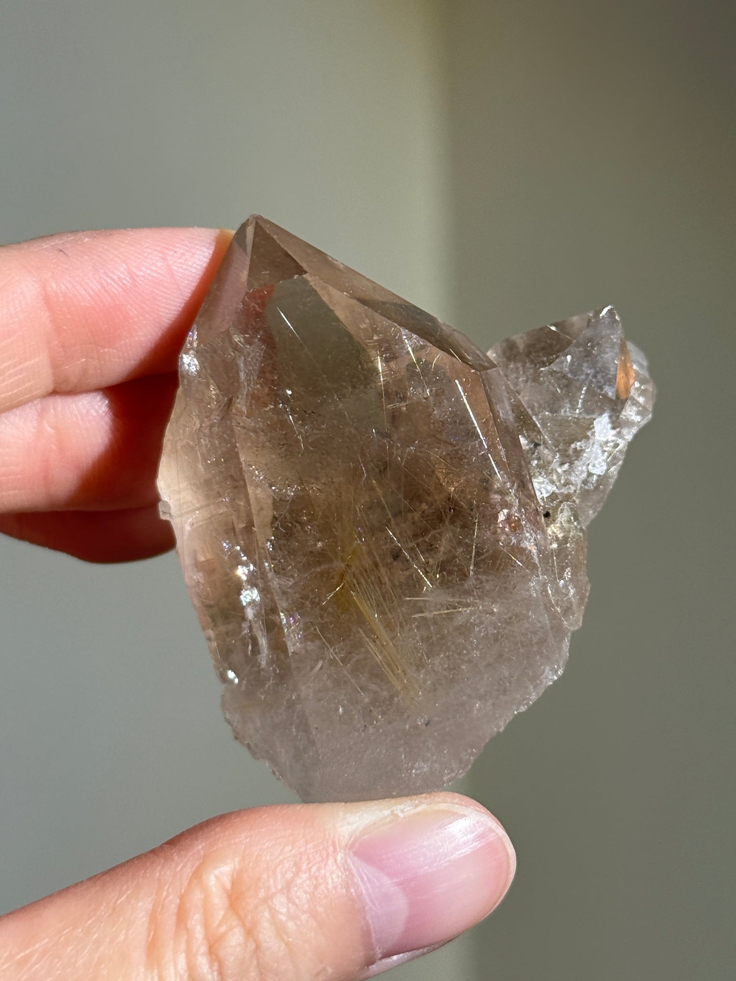 High Grade Unpolished Smoky Quartz Cluster with Rutile, Brazil