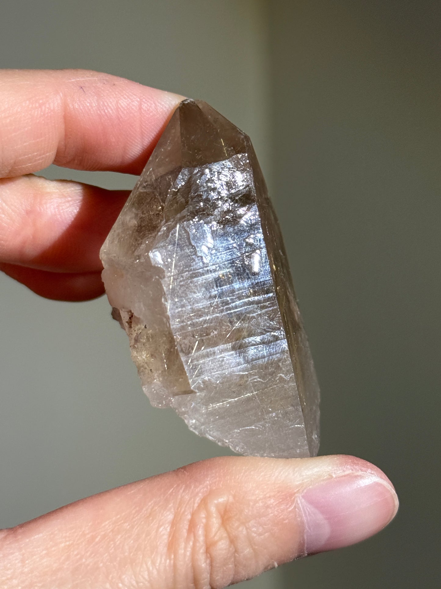High Grade Unpolished Smoky Quartz Cluster with Rutile, Brazil