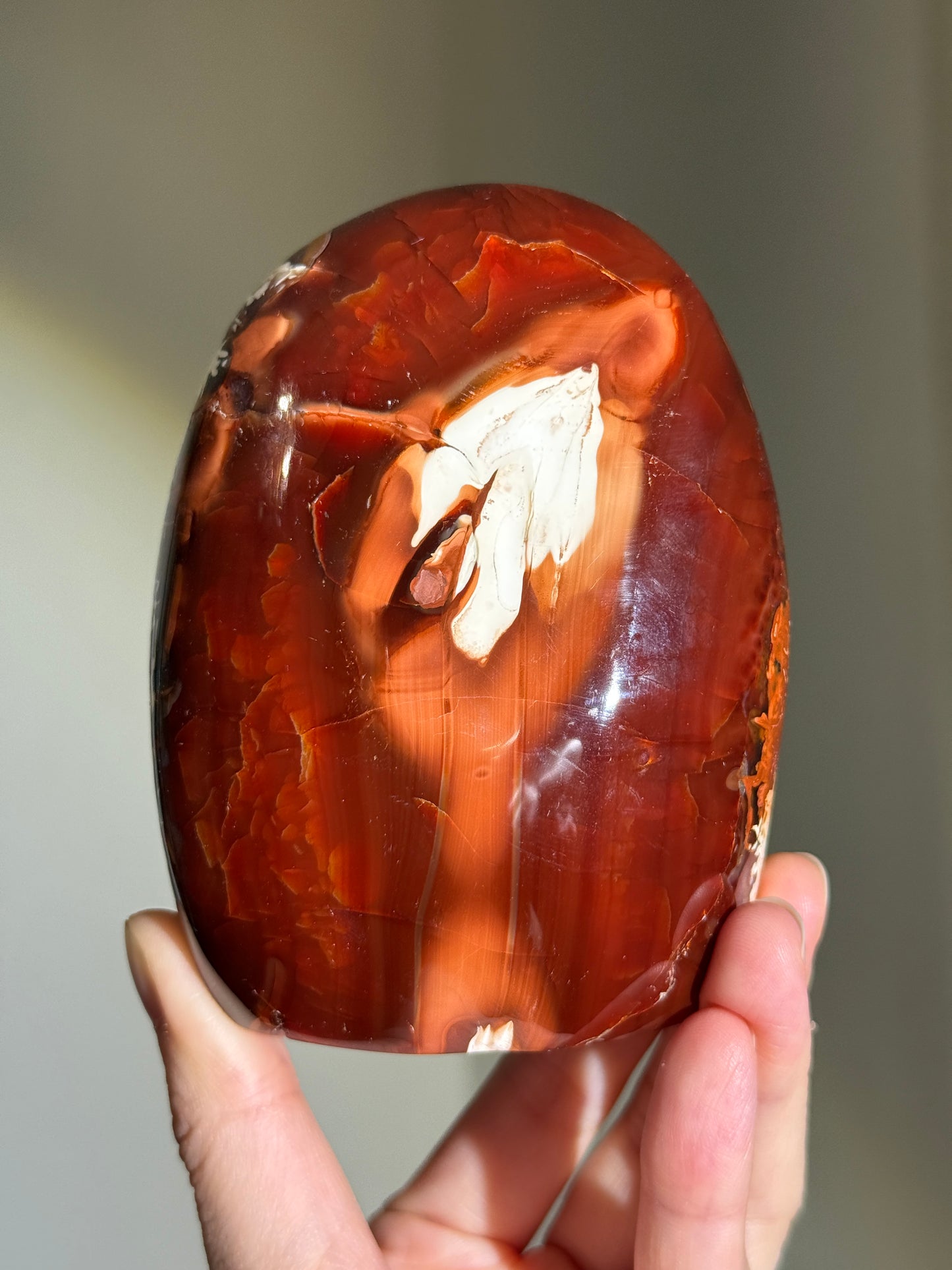 Large Chunky Carnelian x Orca Agate Freeform, Madagascar