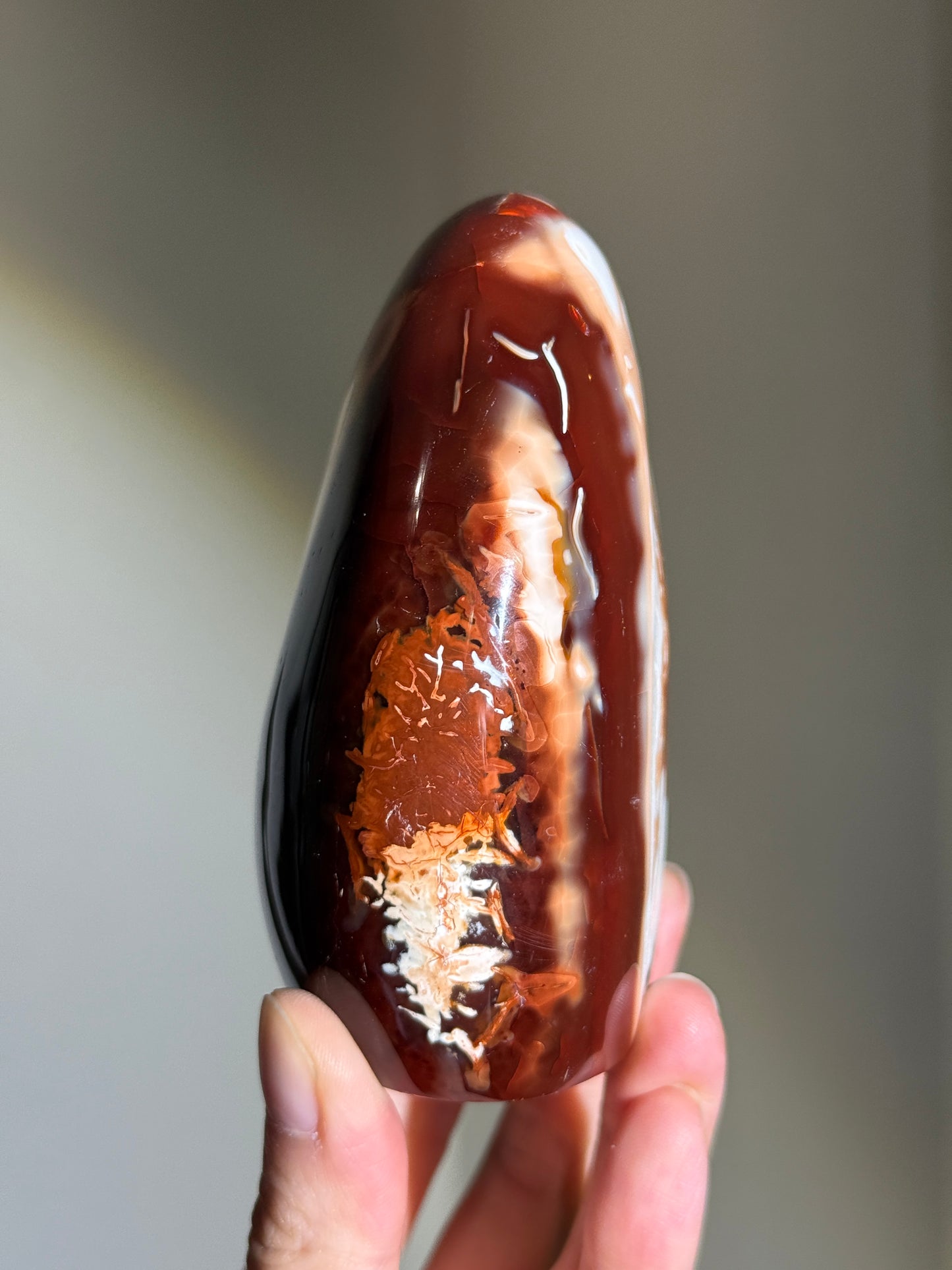 Large Chunky Carnelian x Orca Agate Freeform, Madagascar