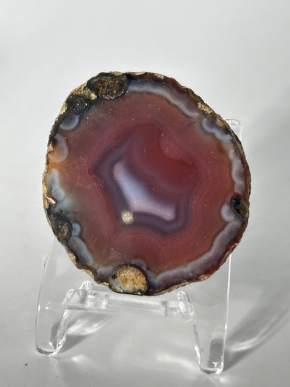 High Quality Saturated Pink Zhanguo Agate Pair, China