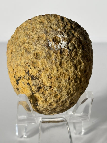 Unique Druzy Zhanguo Agate Pair, China