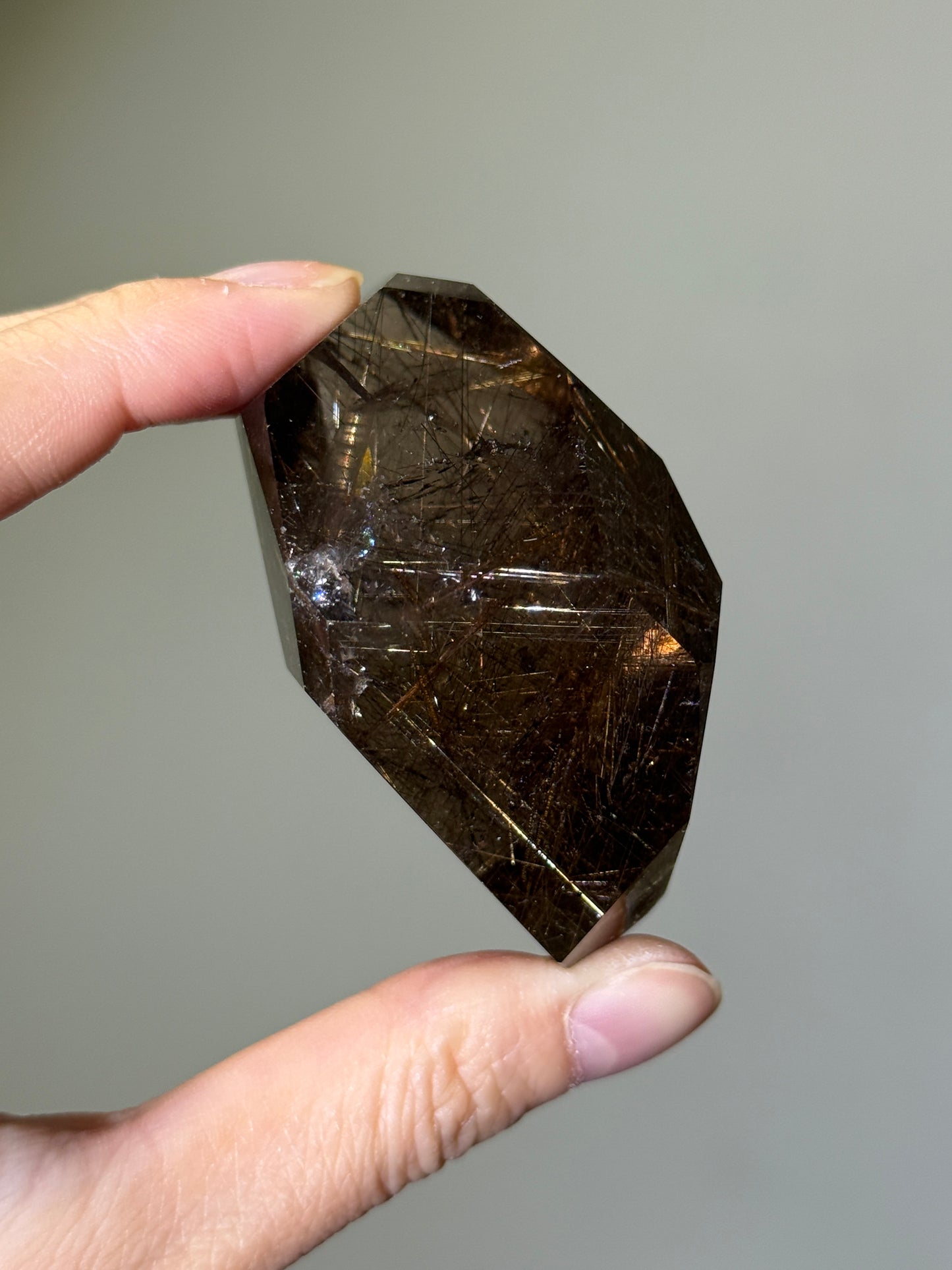 Collector’s Grade Golden Rutile in Smoky Quartz Freeform, Brazil