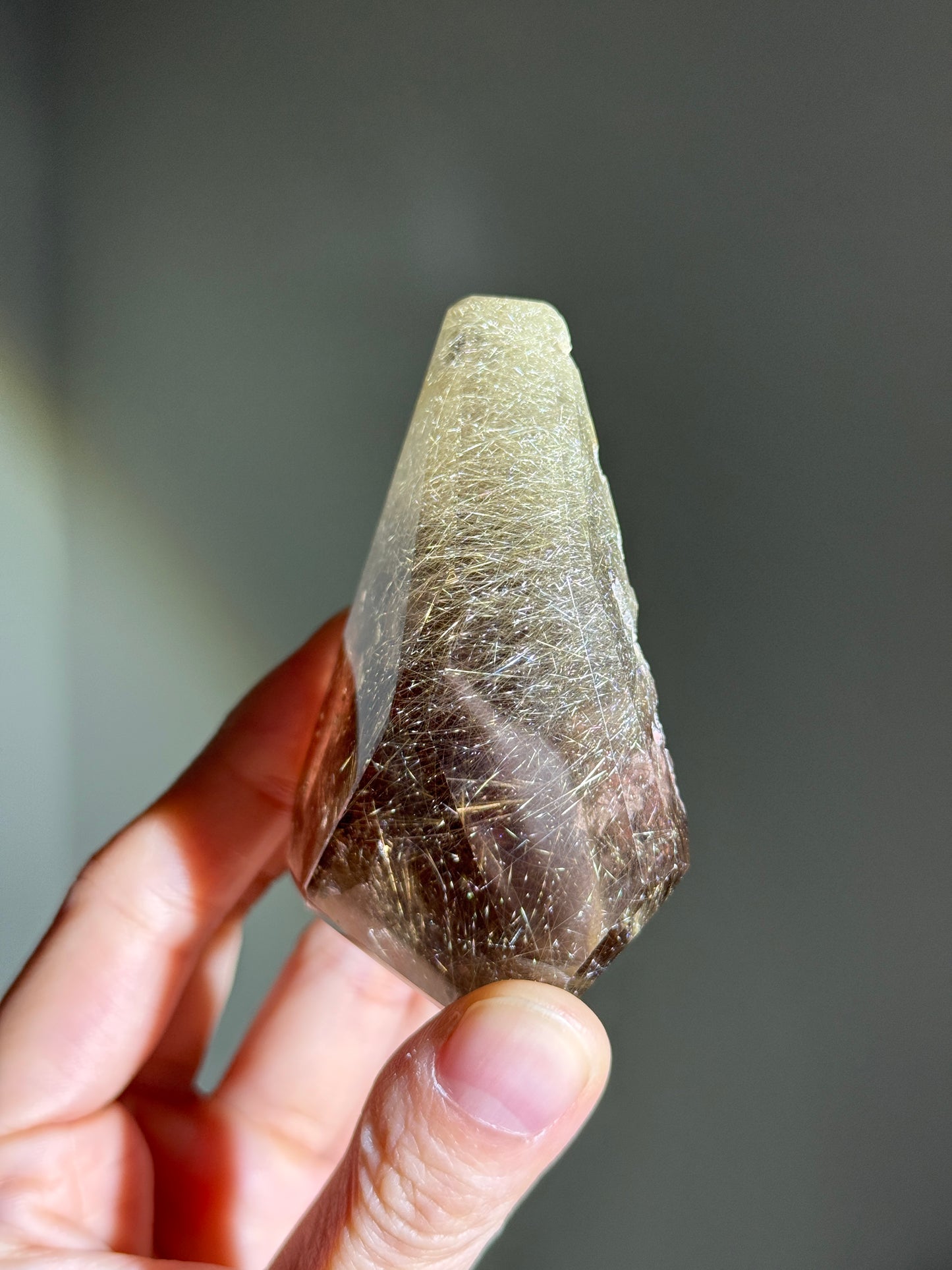 High Quality Collector's Grade Bright Golden Rutile in Smoky Quartz Freeform With Penetrator, Brazil