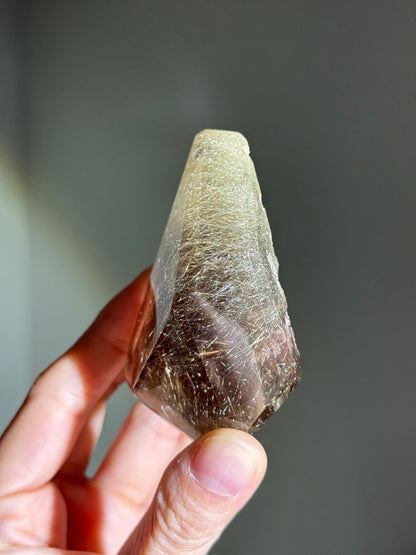 High Quality Collector's Grade Bright Golden Rutile in Smoky Quartz Freeform With Penetrator, Brazil