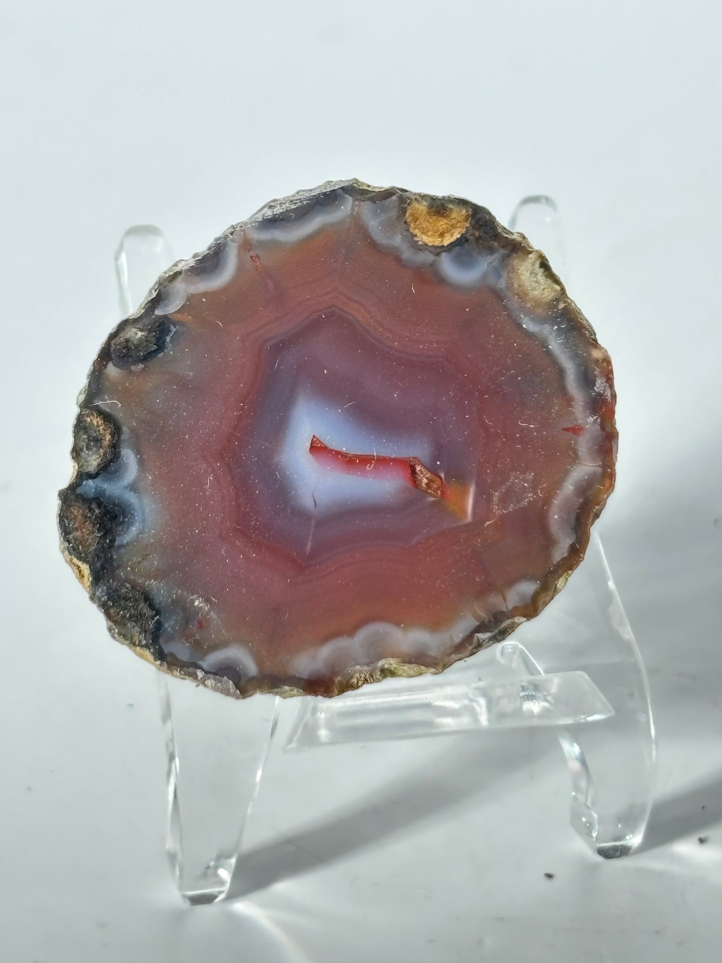 High Quality Saturated Pink Zhanguo Agate Pair, China