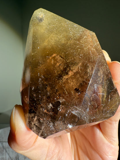 High Quality Collector's Grade Bright Golden Rutile in Smoky Quartz Freeform With Penetrator, Brazil