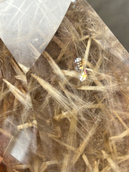 Statement Golden Starburst Rutile on Layered Lodalite Freeform