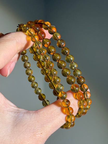 UV Reactive Baltic Amber Bracelets, 6mm