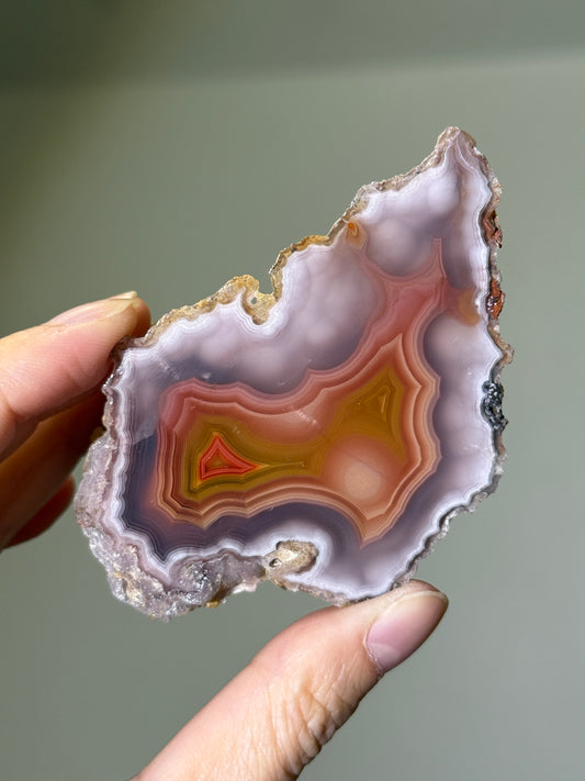 Large Collector’s Grade Laguna Agate, Mexico
