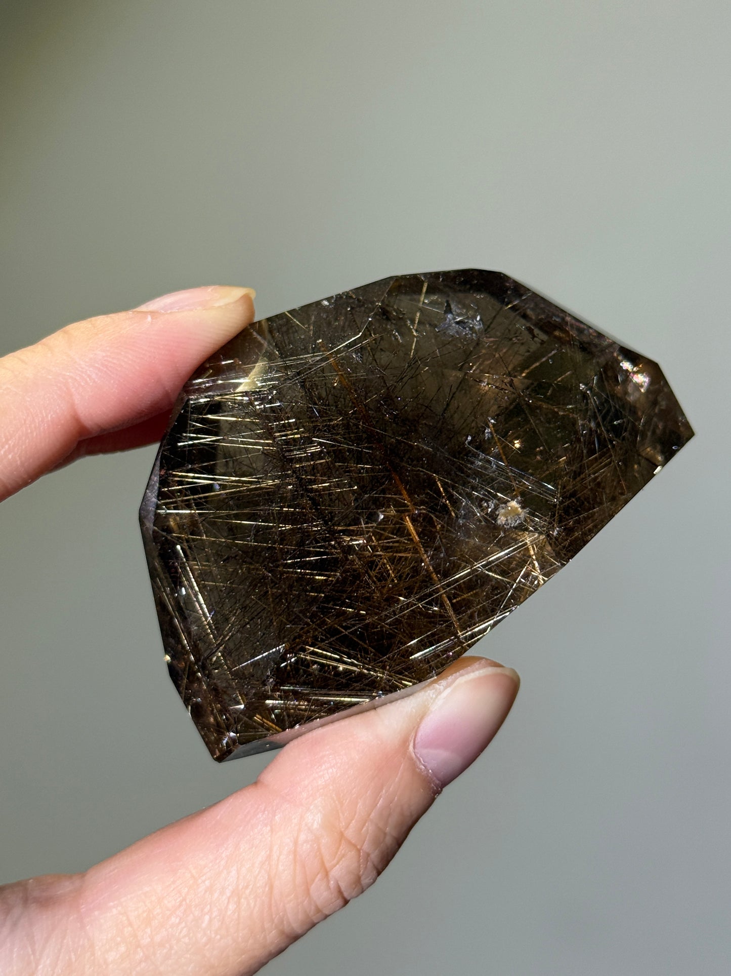 Collector’s Grade Golden Rutile in Smoky Quartz Freeform, Brazil