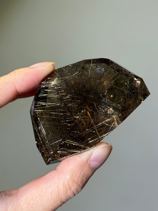 Collector’s Grade Golden Rutile in Smoky Quartz Freeform, Brazil
