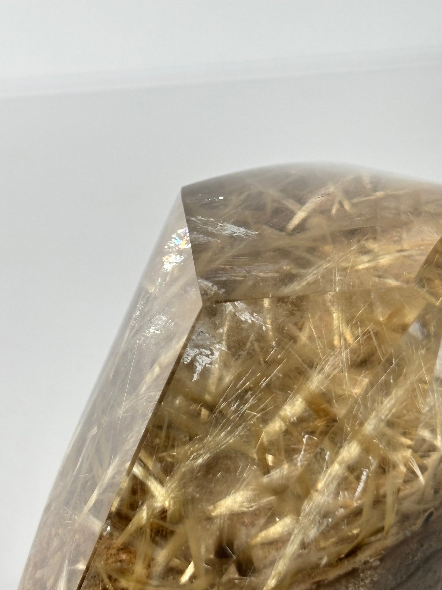 Statement Golden Starburst Rutile on Layered Lodalite Freeform