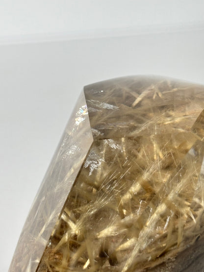 Statement Golden Starburst Rutile on Layered Lodalite Freeform