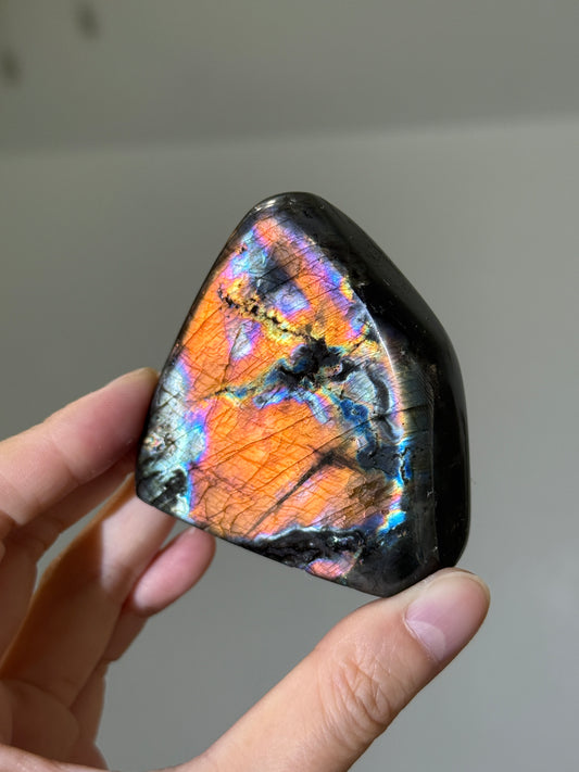 High Quality Full Flash Rainbow Labradorite Freeform, Madagascar