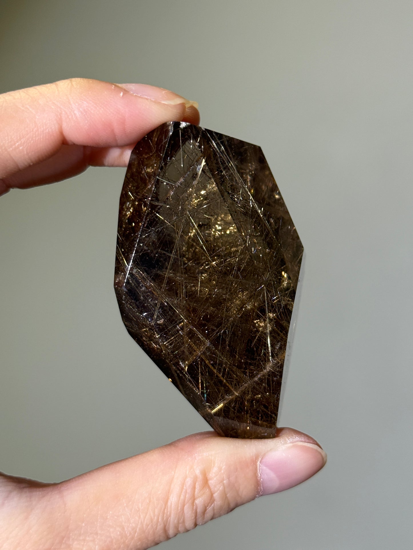 Collector’s Grade Golden Rutile in Smoky Quartz Freeform, Brazil