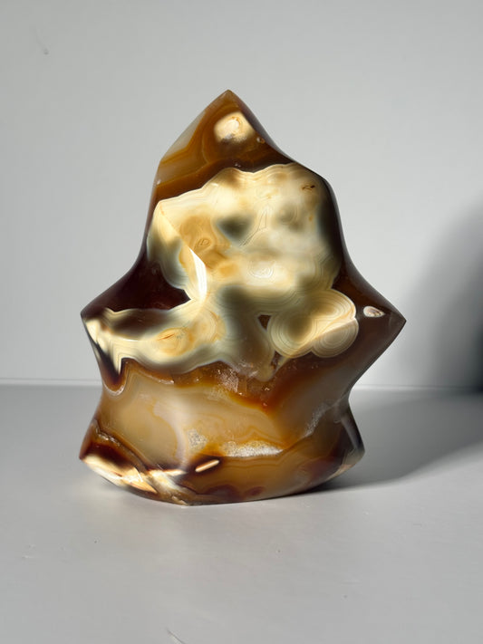 Large Orca Carnelian Agate Flame, Madagascar