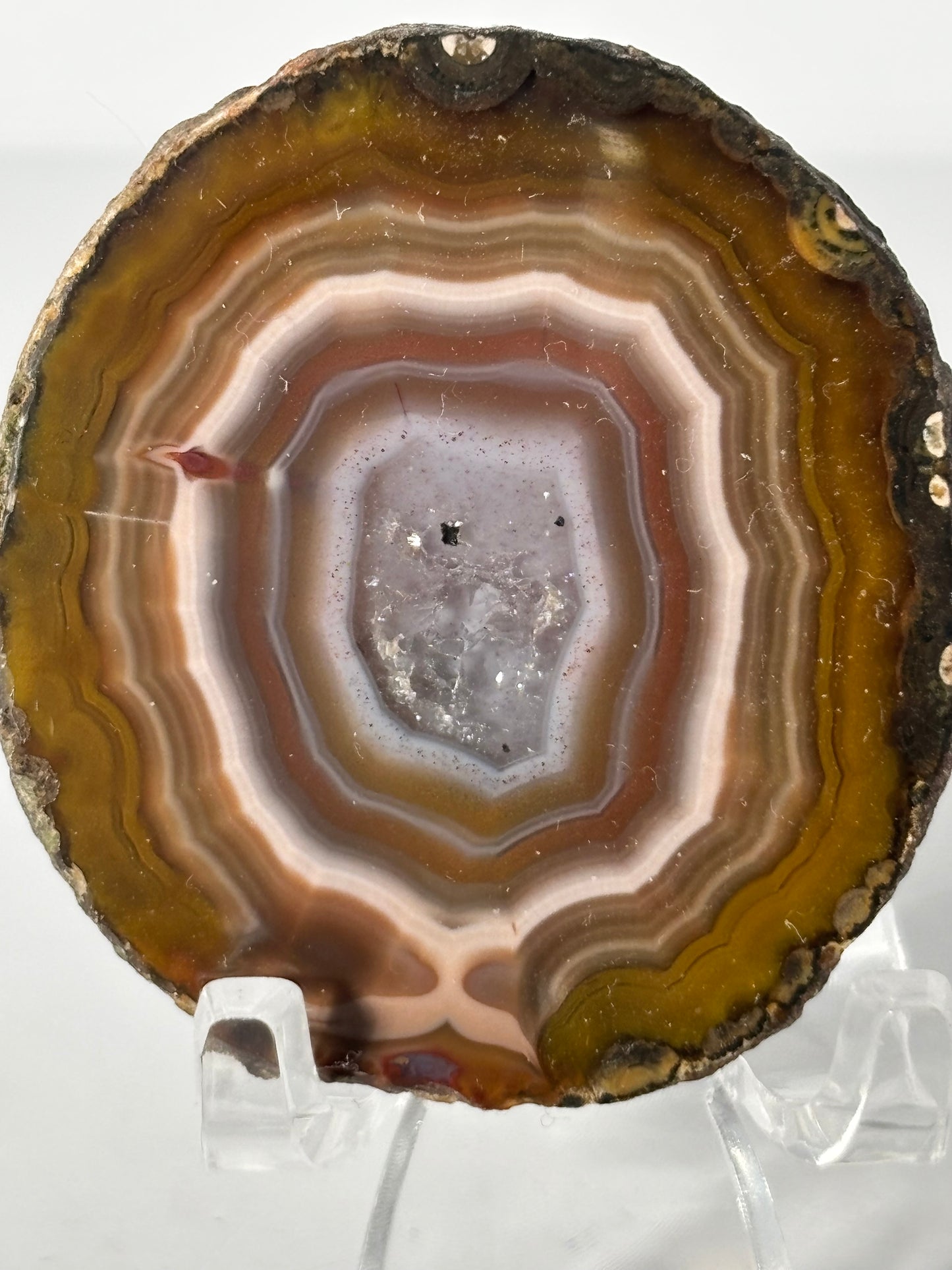 Gorgeous Fall Vibe Druzy Zhanguo Agate Pair, China