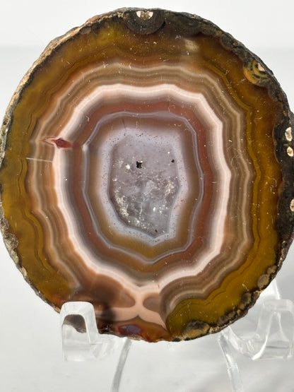 Gorgeous Fall Vibe Druzy Zhanguo Agate Pair, China