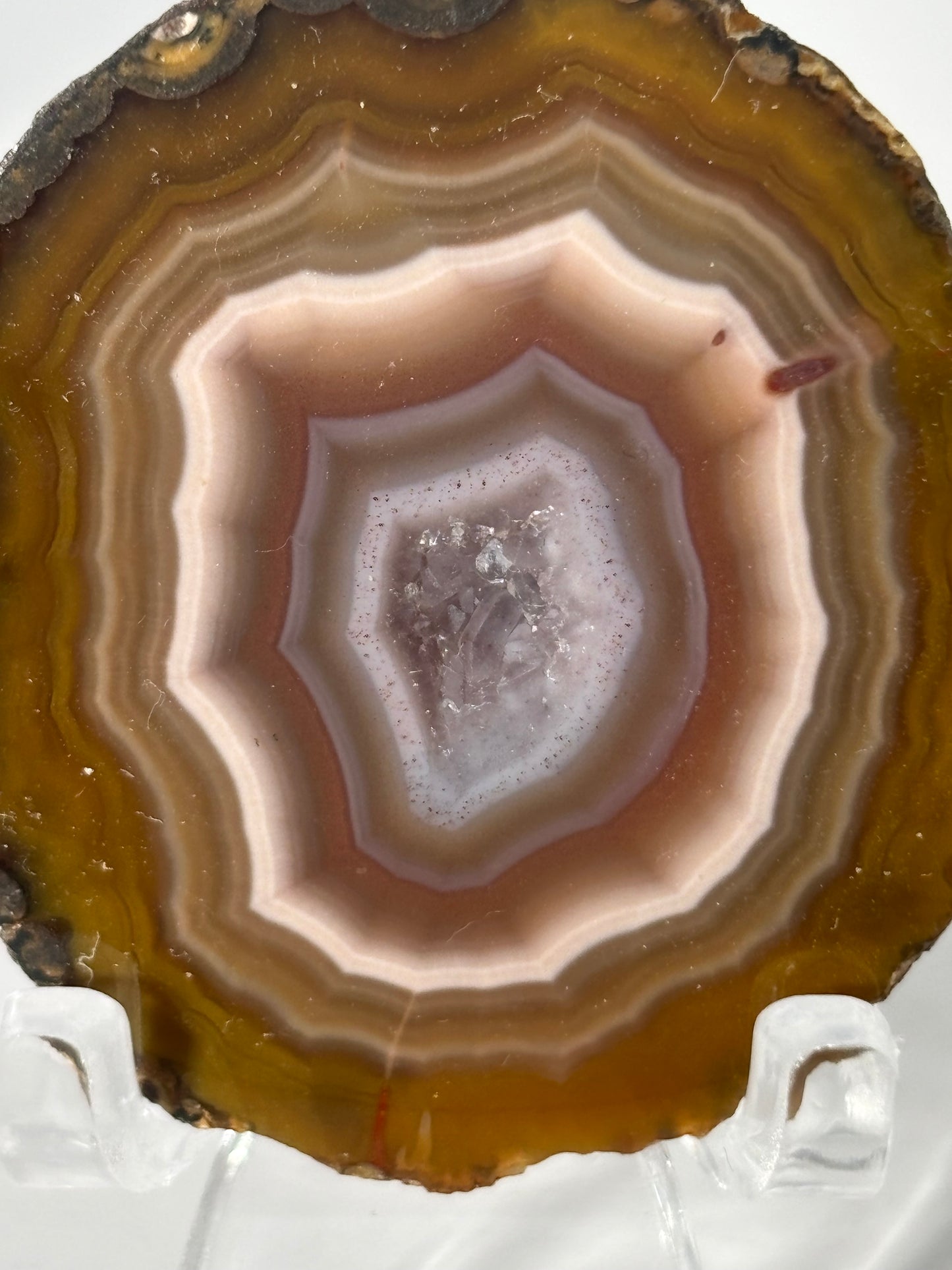 Gorgeous Fall Vibe Druzy Zhanguo Agate Pair, China