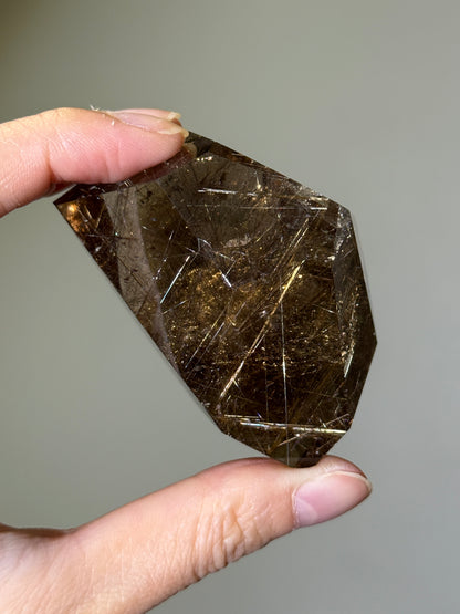 Collector’s Grade Golden Rutile in Smoky Quartz Freeform, Brazil