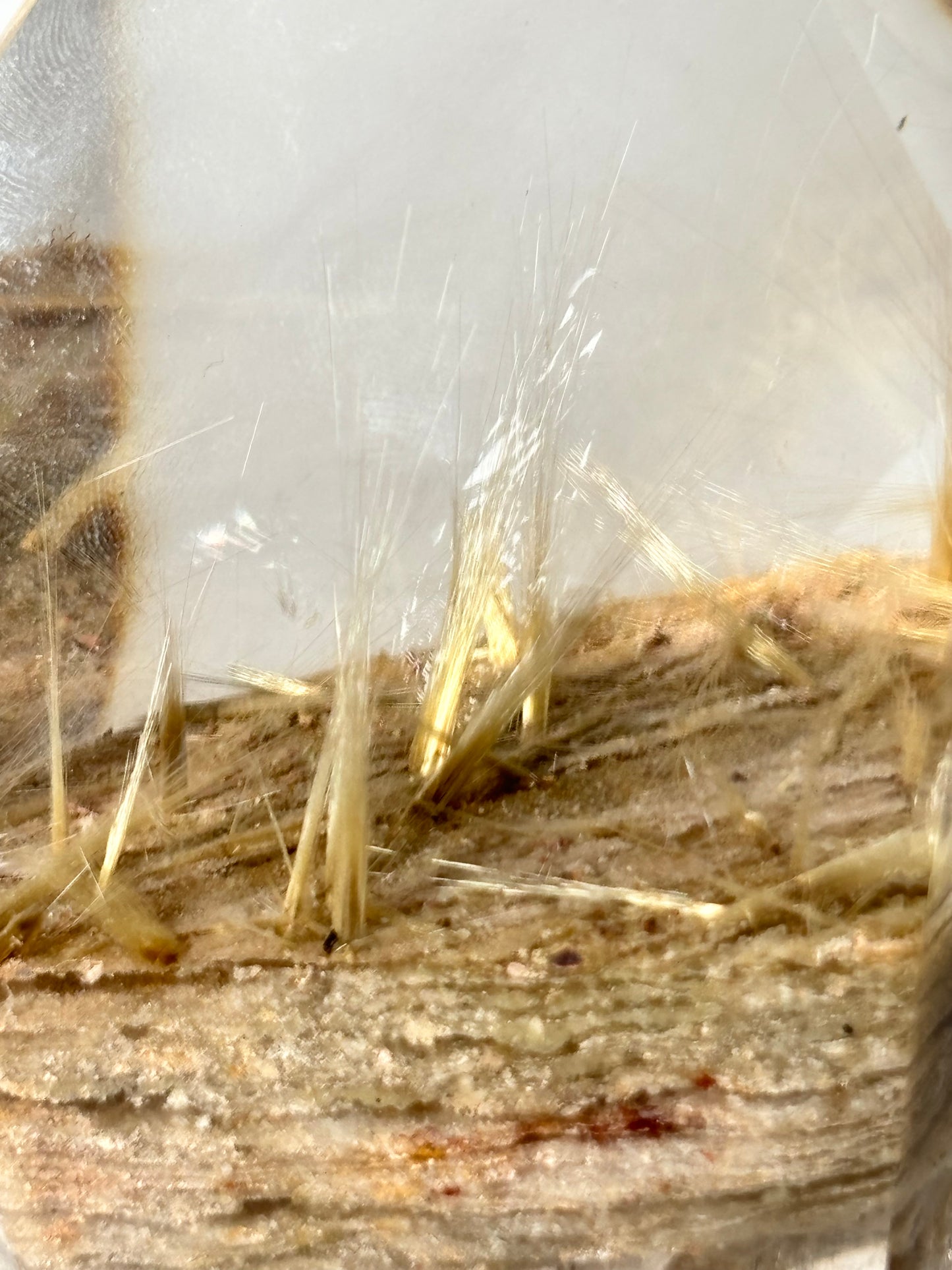 Statement Golden Starburst Rutile on Layered Lodalite Freeform