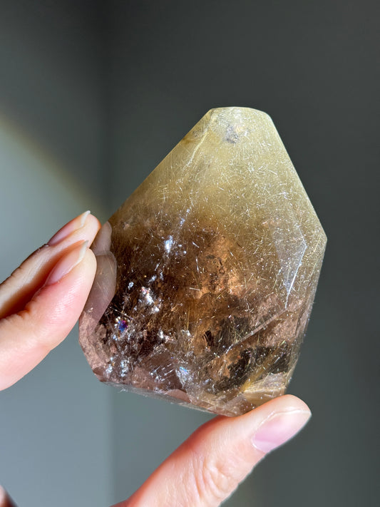 High Quality Collector's Grade Bright Golden Rutile in Smoky Quartz Freeform With Penetrator, Brazil