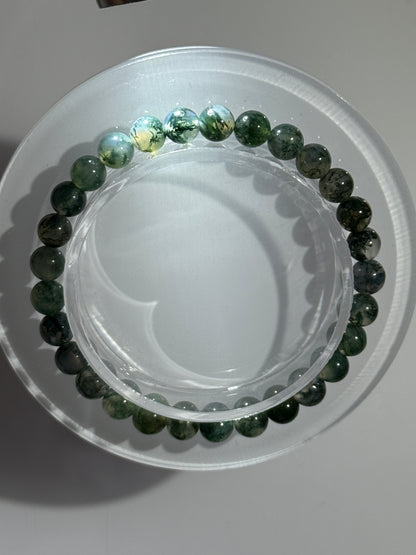 Translucent Moss Agate Bracelets, 6.5mm