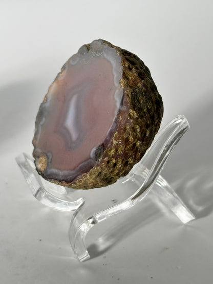 High Quality Saturated Pink Zhanguo Agate Pair, China