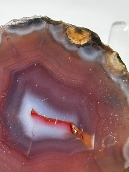 High Quality Saturated Pink Zhanguo Agate Pair, China