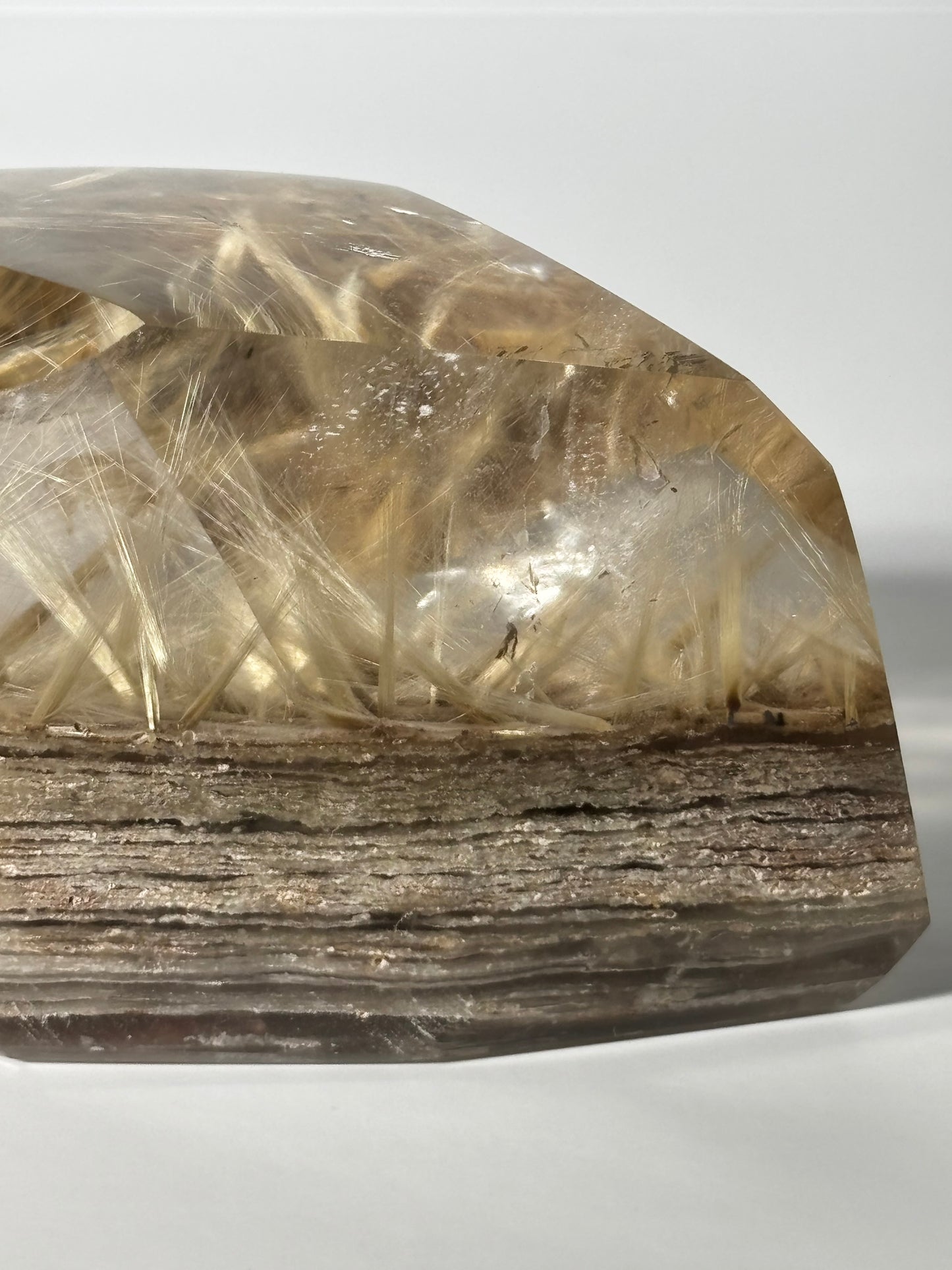 Statement Golden Starburst Rutile on Layered Lodalite Freeform