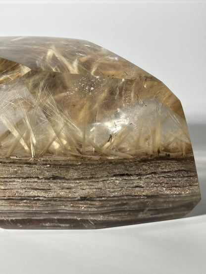 Statement Golden Starburst Rutile on Layered Lodalite Freeform