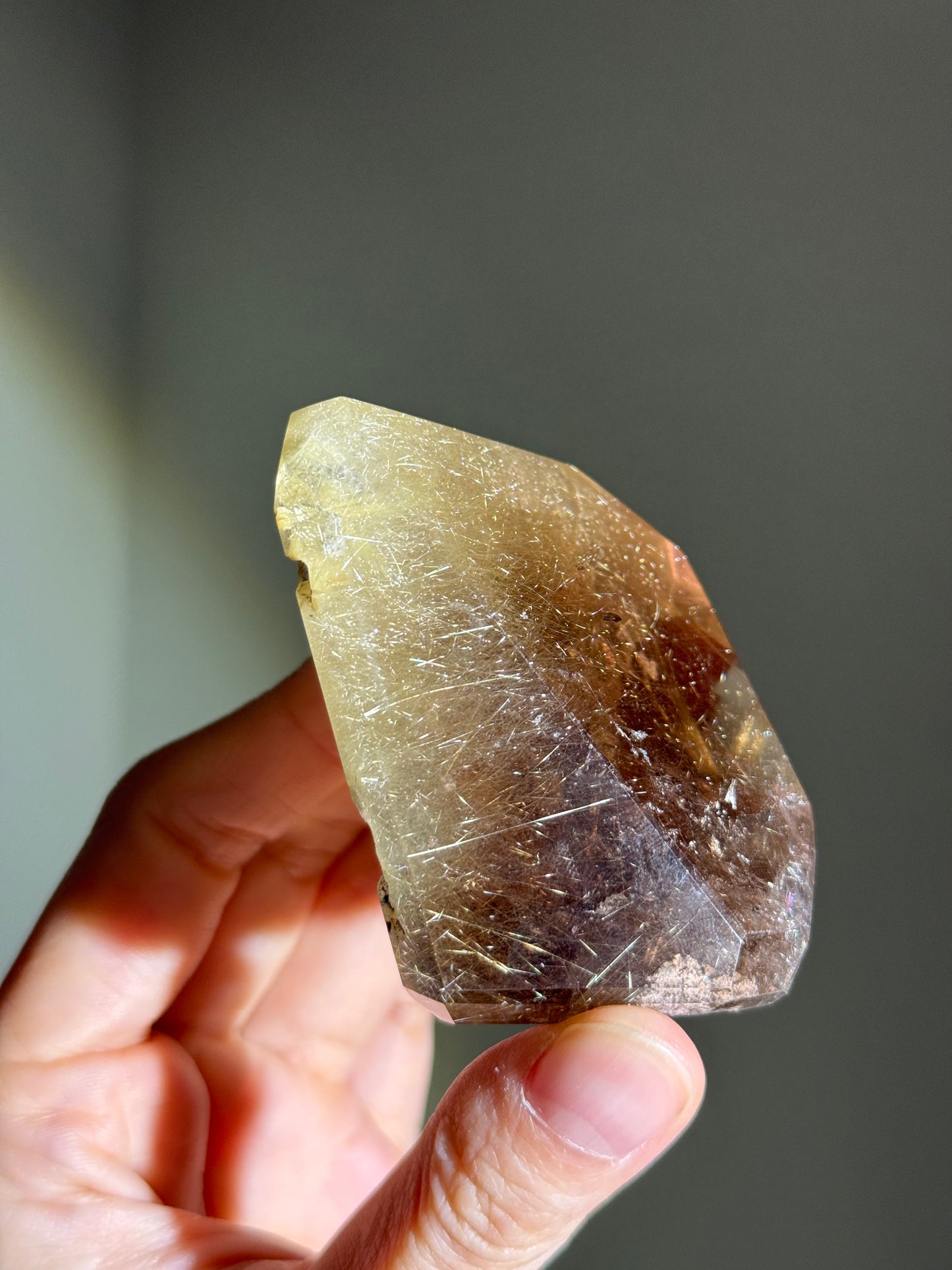 High Quality Collector's Grade Bright Golden Rutile in Smoky Quartz Freeform With Penetrator, Brazil