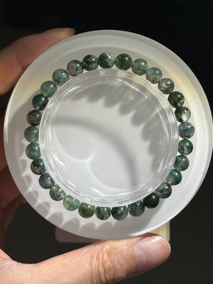 Translucent Moss Agate Bracelets, 6.5mm