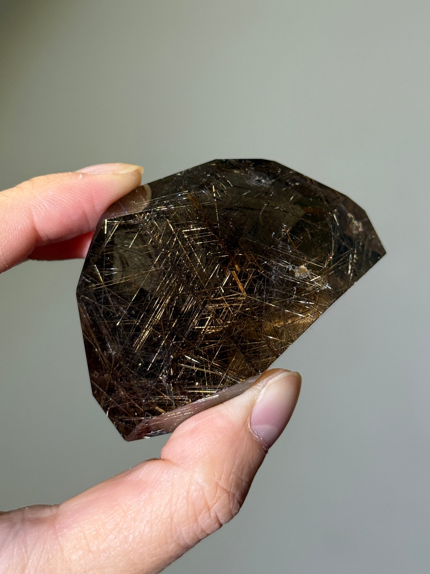 Collector’s Grade Golden Rutile in Smoky Quartz Freeform, Brazil