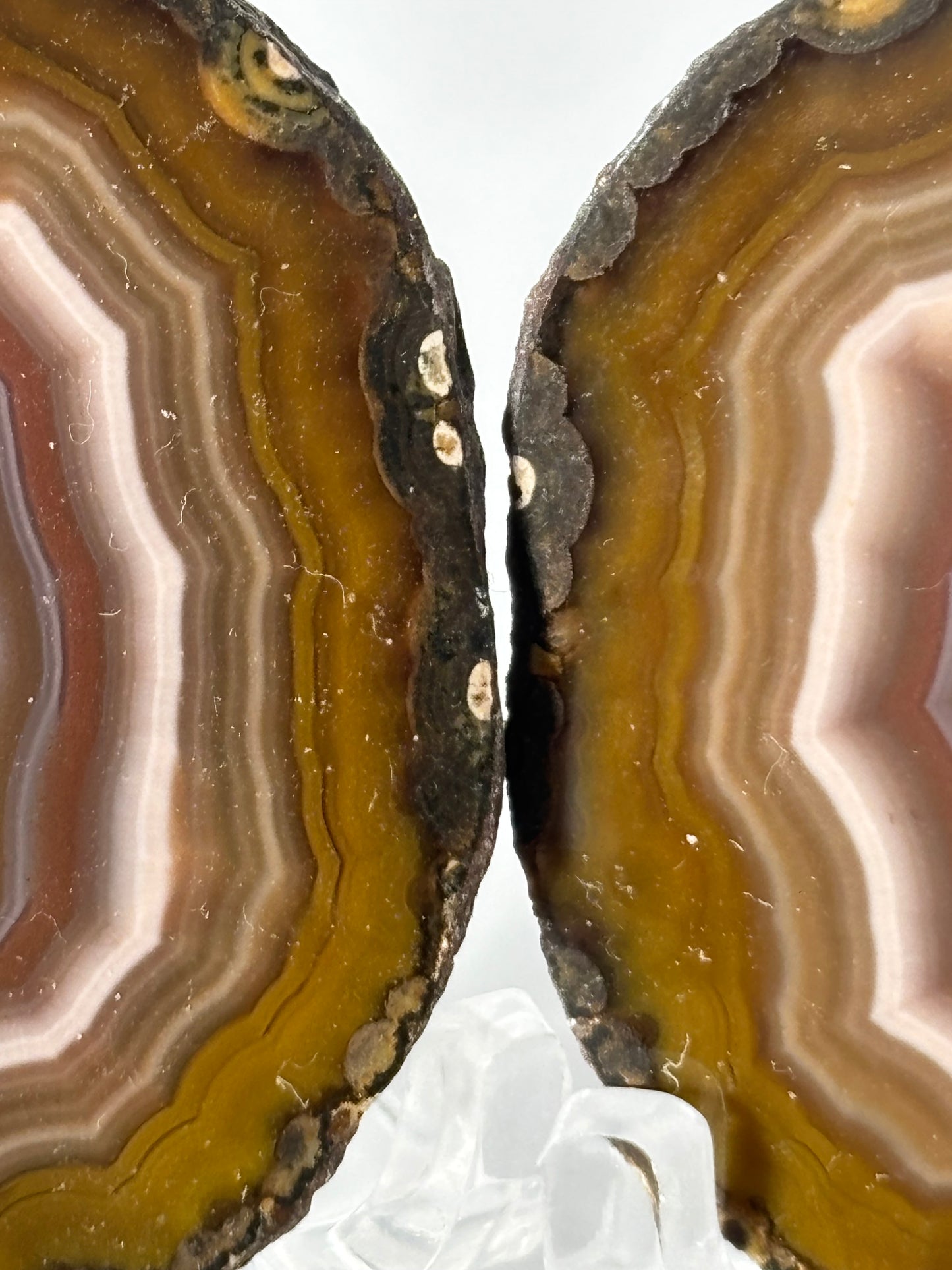 Gorgeous Fall Vibe Druzy Zhanguo Agate Pair, China
