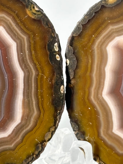 Gorgeous Fall Vibe Druzy Zhanguo Agate Pair, China