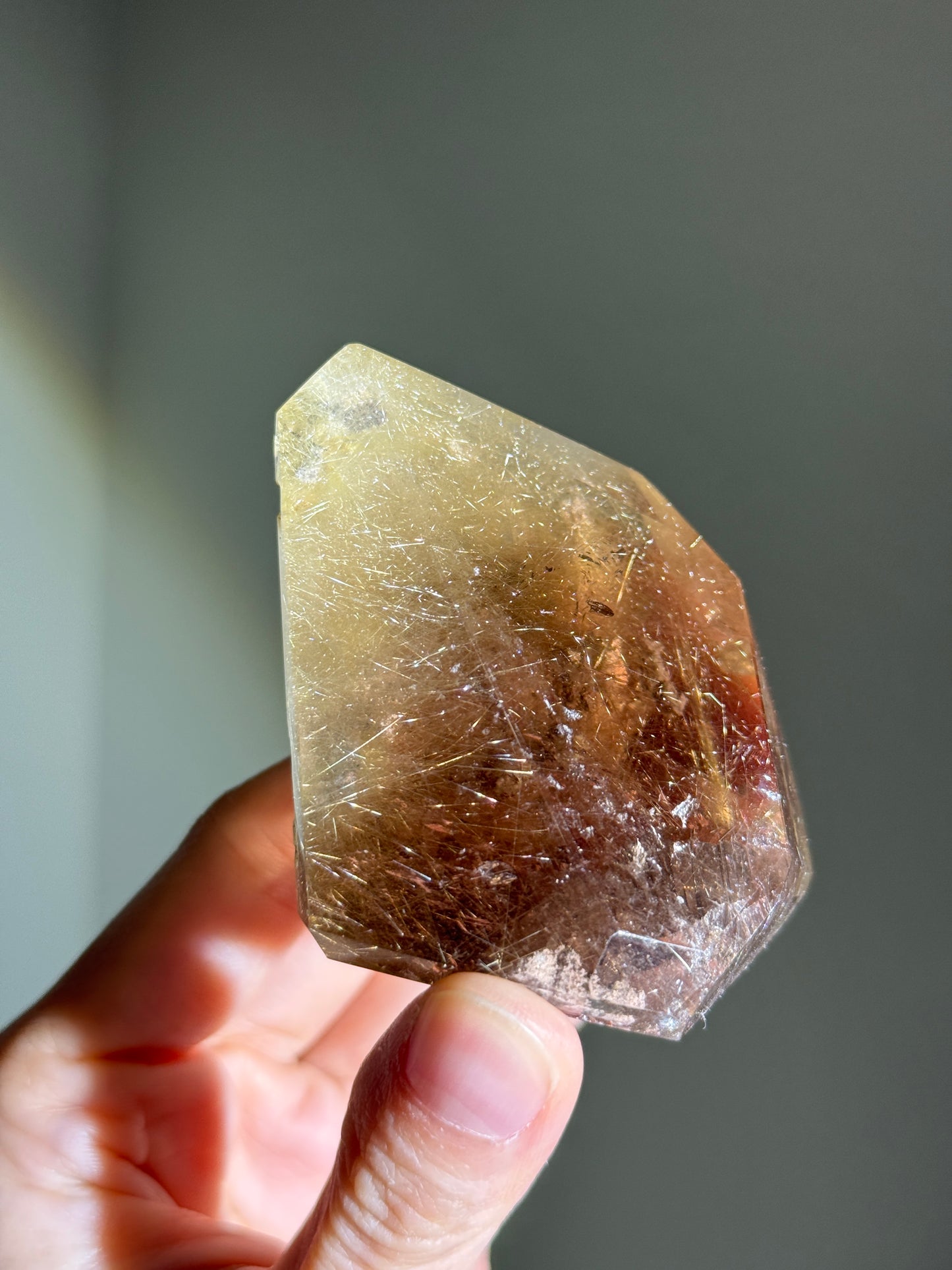 High Quality Collector's Grade Bright Golden Rutile in Smoky Quartz Freeform With Penetrator, Brazil