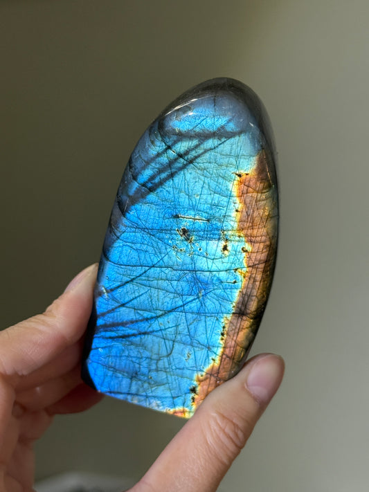 Rainbow Labradorite Freeform, Madagascar