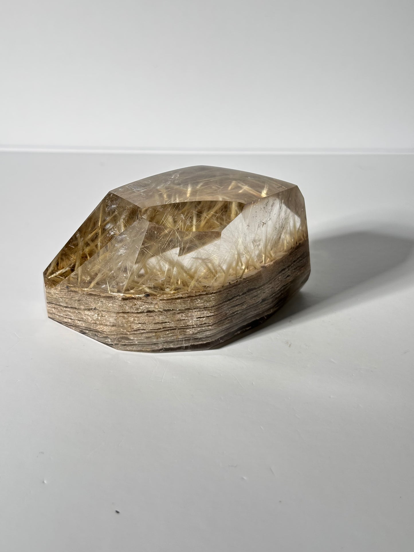 Statement Golden Starburst Rutile on Layered Lodalite Freeform