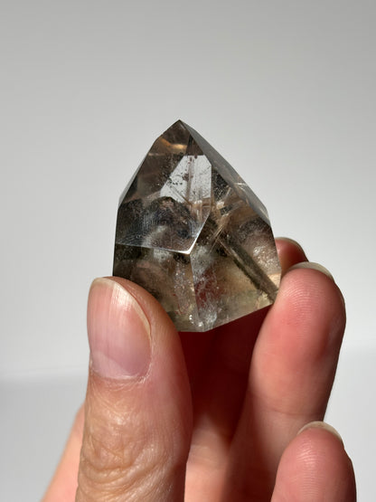 High Quality Golden Starburst Rutile on Green Phantom Chlorite Freeform, Brazil